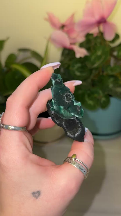 Velvet Malachite