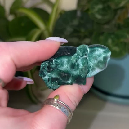Velvet Malachite