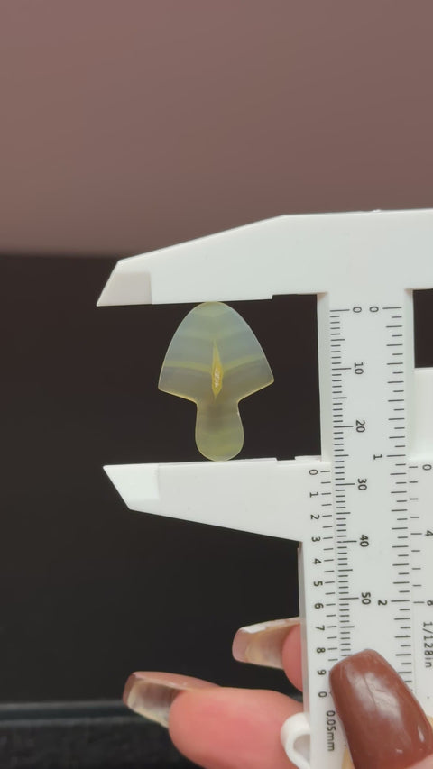 Iris Agate Mushroom