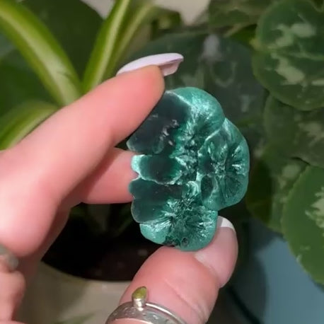 Velvet Malachite