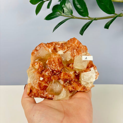 Pumpkin Patch Zeolite - Kenna's Crystals