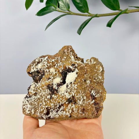Pumpkin Patch Zeolite - Kenna's Crystals