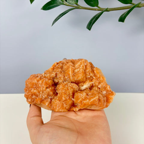 Pumpkin Patch Zeolite - Kenna's Crystals