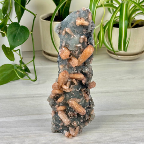 Pumpkin Stilbite On Chalcedony I 11 - Kenna's Crystals from TikTok