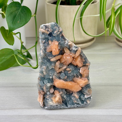 Pumpkin Stilbite On Chalcedony K 13 - Kenna's Crystals from TikTok
