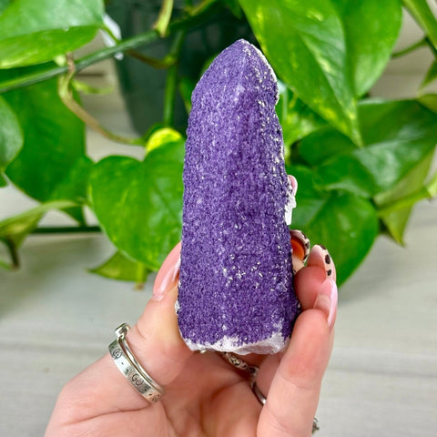 Purple Fluorite On Quartz 133 8 - Kenna's Crystals from TikTok