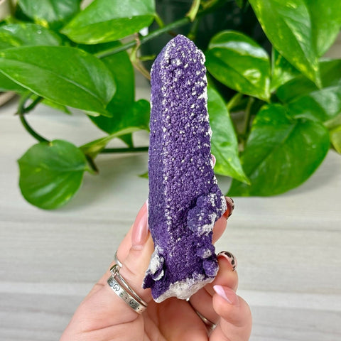 Purple Fluorite On Quartz 155 10 - Kenna's Crystals from TikTok