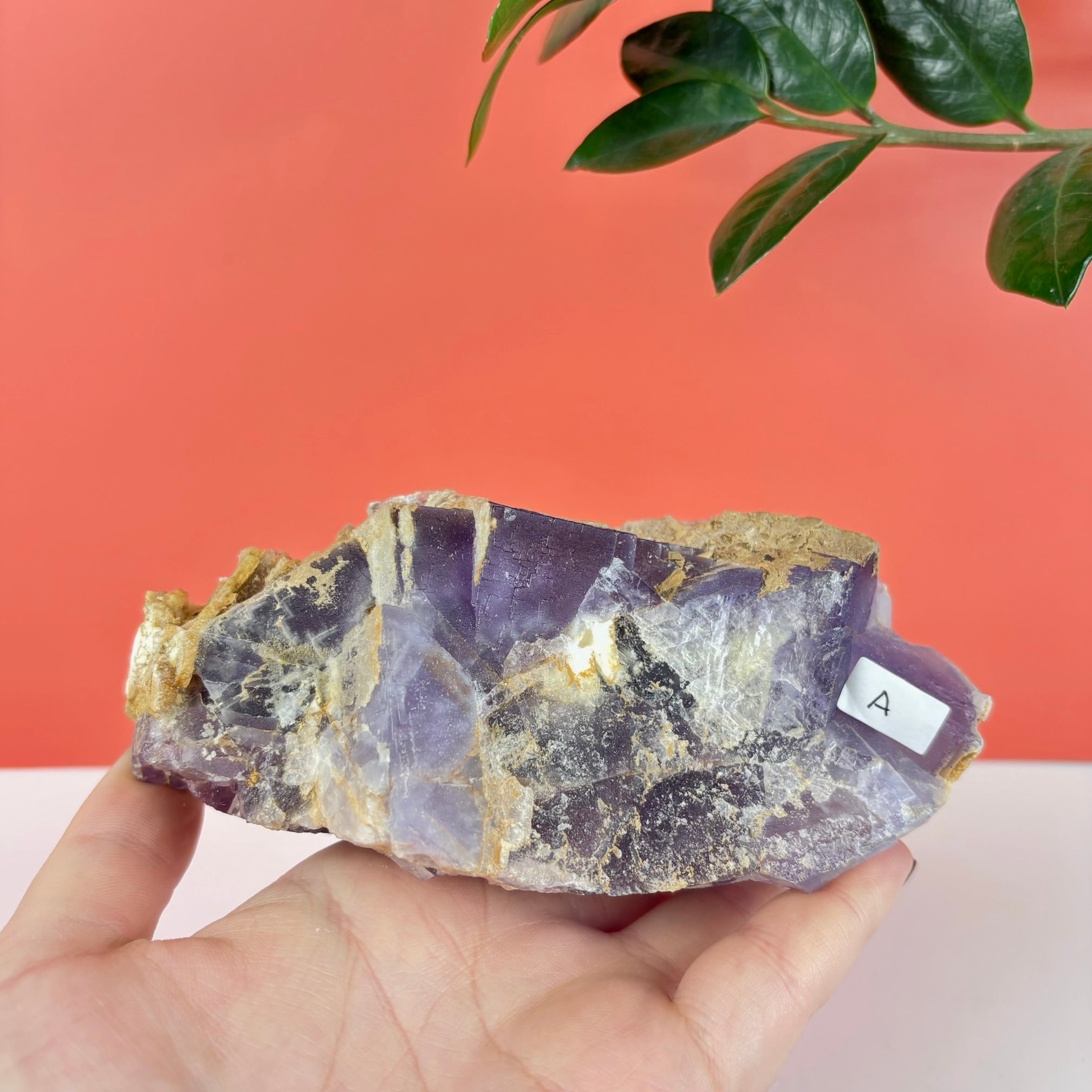 Purple Prism Fluorite – Kenna's Crystals
