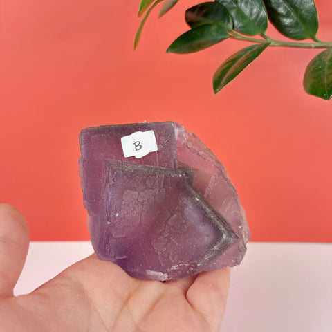 Handheld purple fluorite crystal cluster with geometric cubic formations and a white label marked B.