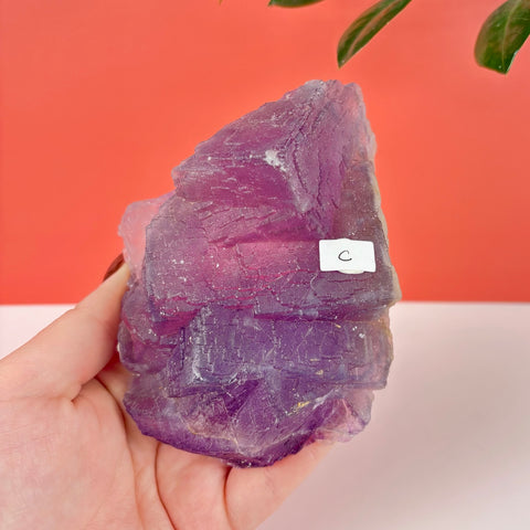 Handheld raw purple fluorite crystal specimen with geometric cubic structure and a white label marked C.