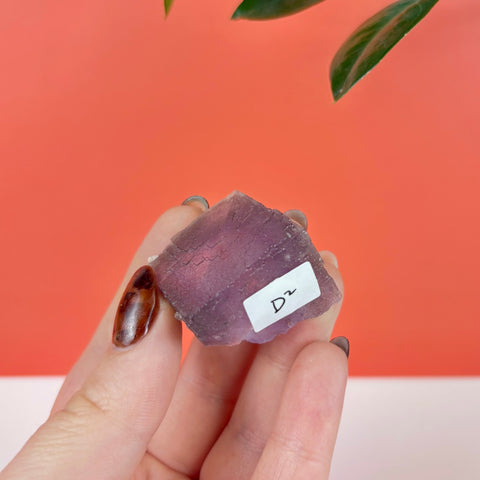 Hand holding a translucent purple prism fluorite crystal cube with a small D2 identification label.