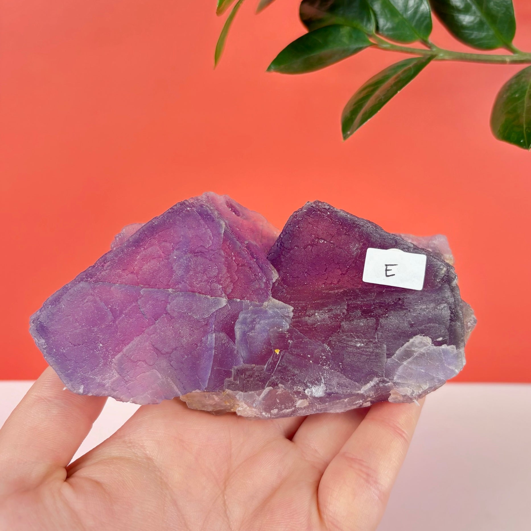 Purple Prism Fluorite – Kenna's Crystals