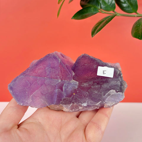 Handheld raw purple prism fluorite crystal cluster with geometric facets and a white label marked E.