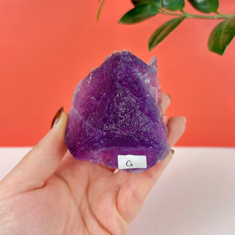 Hand holding a deep purple prism fluorite crystal with a textured surface and a small label marked G.