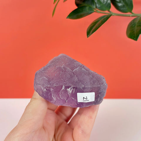 Hand holding a raw, translucent purple prism fluorite crystal with a small label against a red and white background.