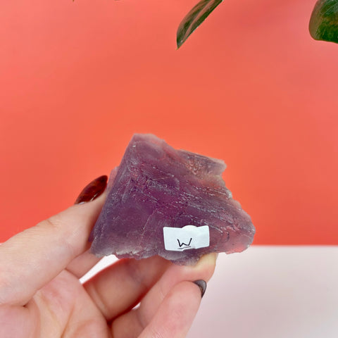 Hand holding a translucent, triangular purple prism fluorite crystal with a small white inventory label.