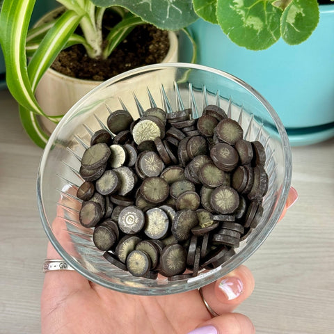 Pyrite Firework 1 - Kenna's Crystals from TikTok