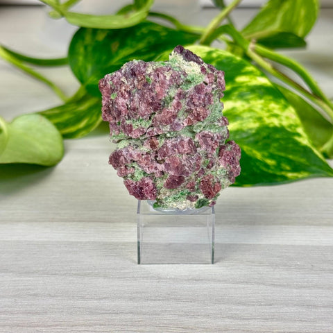 Pyrope Garnet on Chrome Diopside Specimen 133 12 - Kenna's Crystals from TikTok