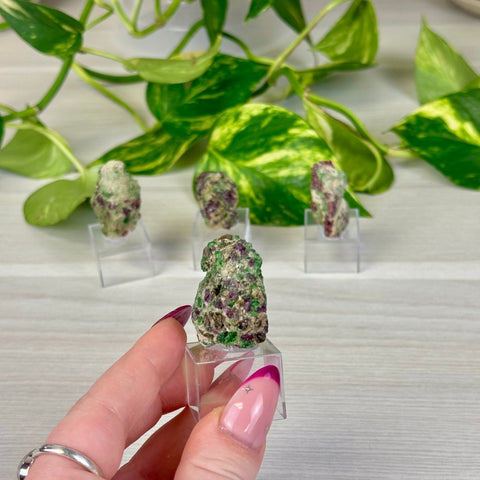 Pyrope Garnet on Chrome Diopside Specimen 33 3 - Kenna's Crystals from TikTok