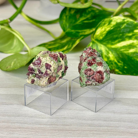 Pyrope Garnet on Chrome Diopside Specimen 44 4 - Kenna's Crystals from TikTok