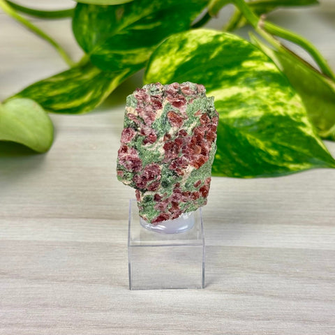 Pyrope Garnet on Chrome Diopside Specimen 55 5 - Kenna's Crystals from TikTok