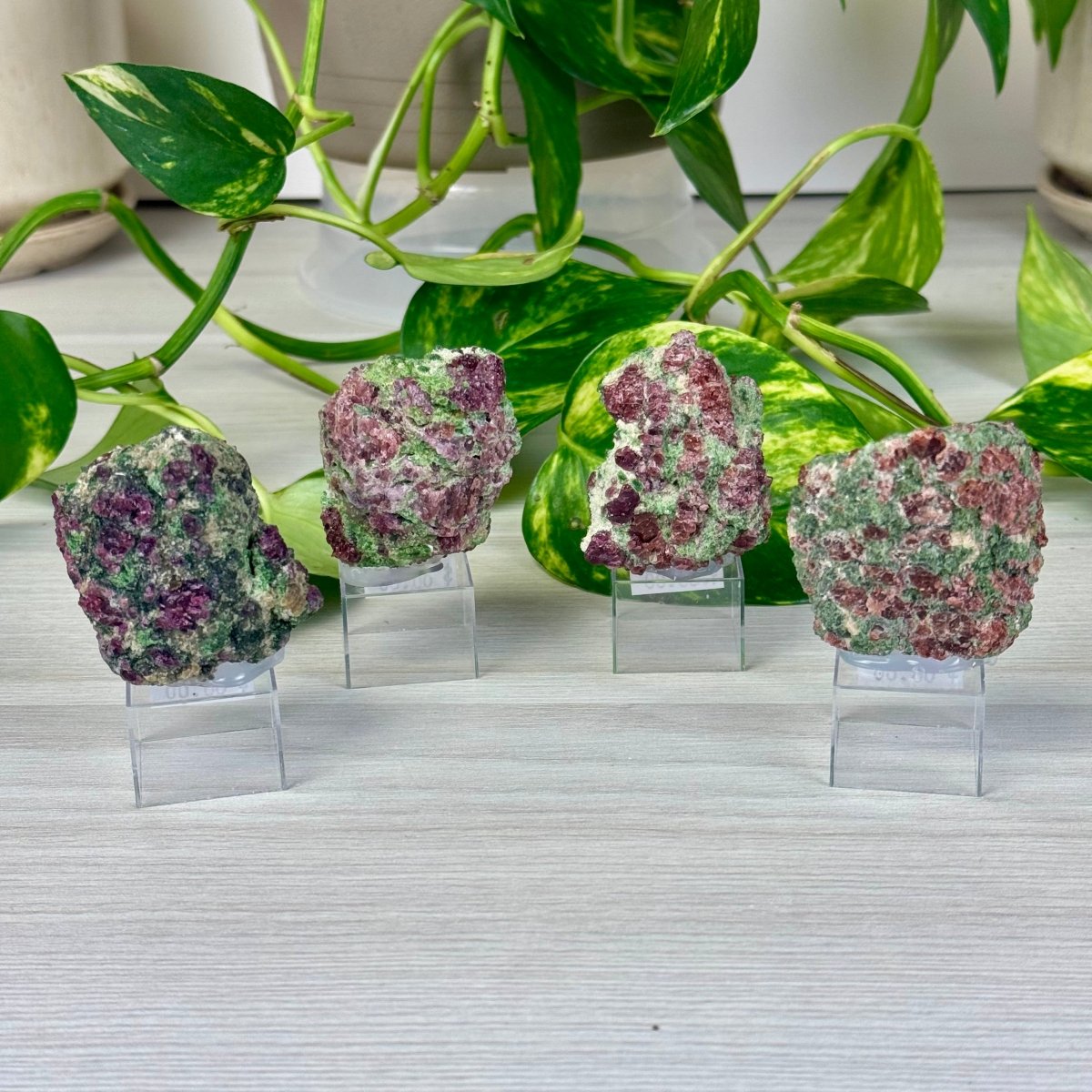 Pyrope Garnet on Chrome Diopside Specimen