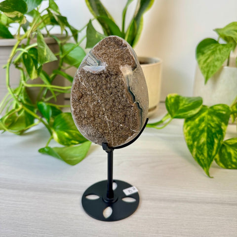 Rainbow Amethyst Egg with Custom Stand B2 28 - Kenna's Crystals from TikTok