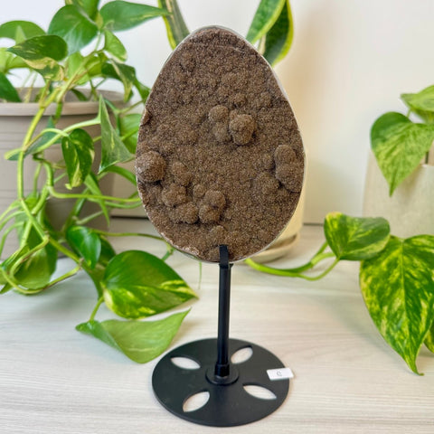 Rainbow Amethyst Egg with Custom Stand C 3 - Kenna's Crystals from TikTok