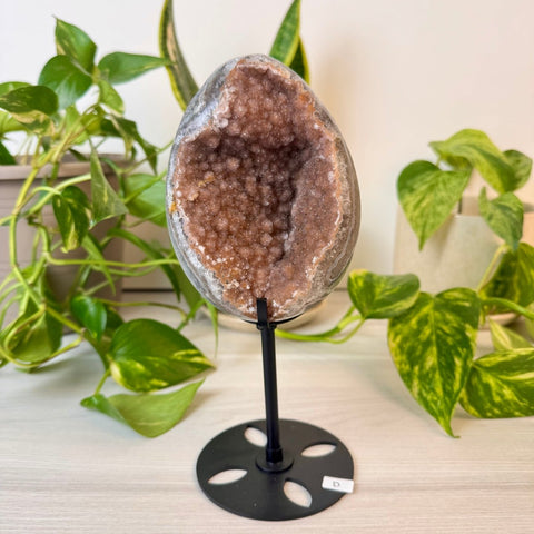 Rainbow Amethyst Egg with Custom Stand D 4 - Kenna's Crystals from TikTok