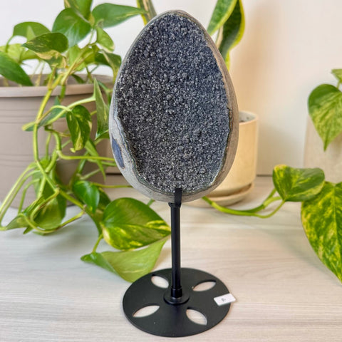 Rainbow Amethyst Egg with Custom Stand F 6 - Kenna's Crystals from TikTok