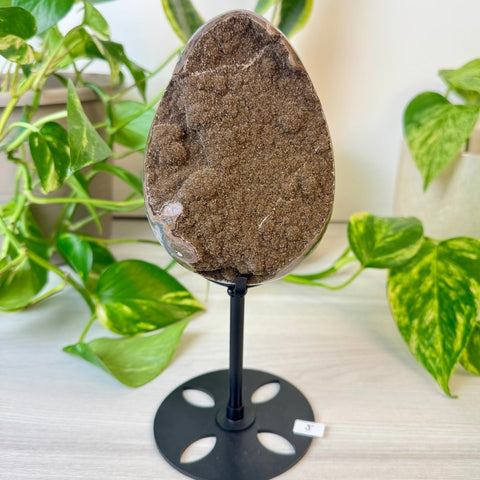 Rainbow Amethyst Egg with Custom Stand J 10 - Kenna's Crystals from TikTok