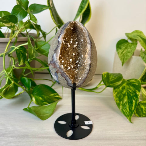 Rainbow Amethyst Egg with Custom Stand K 11 - Kenna's Crystals from TikTok