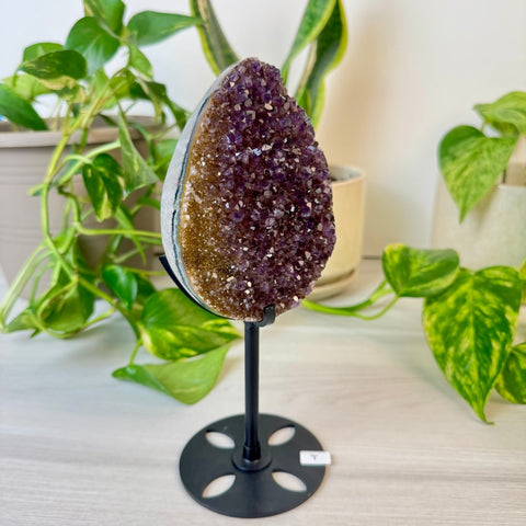 Rainbow Amethyst Egg with Custom Stand T 19 - Kenna's Crystals from TikTok