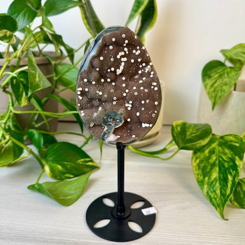 Rainbow Amethyst Egg with Custom Stand W 22 - Kenna's Crystals from TikTok