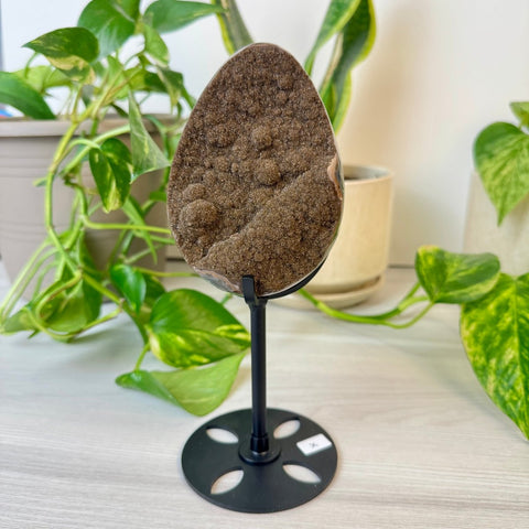 Rainbow Amethyst Egg with Custom Stand X 23 - Kenna's Crystals from TikTok