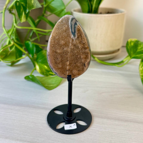 Rainbow Amethyst Egg with Custom Stand X2 50 - Kenna's Crystals from TikTok