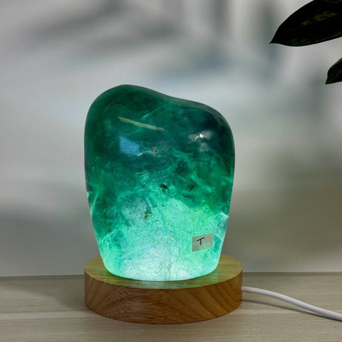 Rainbow Fluorite Free Form Lamp T 20 - Kenna's Crystals from TikTok