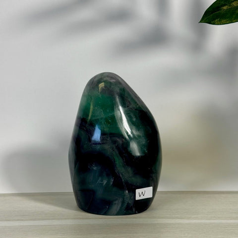 Rainbow Fluorite Free Form Lamp X 92 - Kenna's Crystals from TikTok