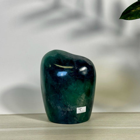 Rainbow Fluorite Free Form Lamp X 83 - Kenna's Crystals from TikTok