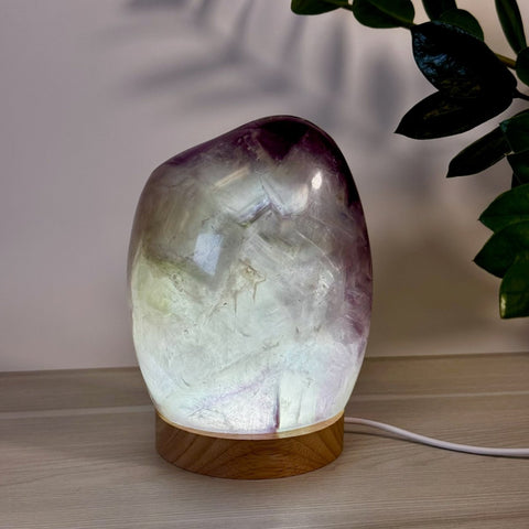 Rainbow Fluorite Free Form Lamp X 25 - Kenna's Crystals from TikTok