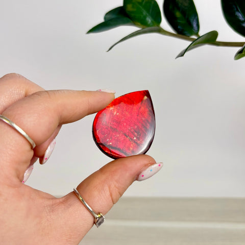 Rare Ammolite Cabochon