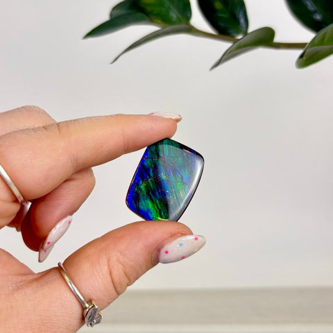 Rare Ammolite Cabochon