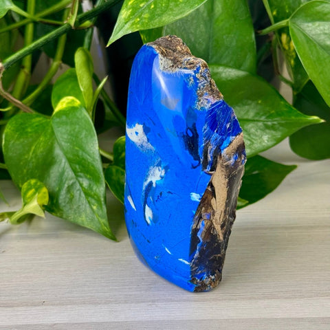 Raw Amber 11 21 - Kenna's Crystals from TikTok