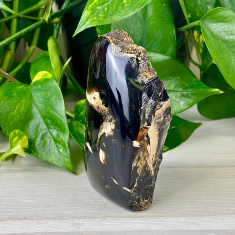 Raw Amber 118 6 - Kenna's Crystals from TikTok