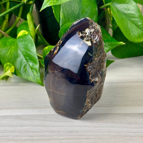 Raw Amber 207 2 - Kenna's Crystals from TikTok