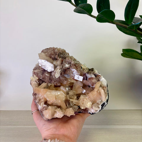 Red Apophyllite on Chalcedony