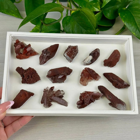 Red Hematite Quartz 11 8 - Kenna's Crystals from TikTok