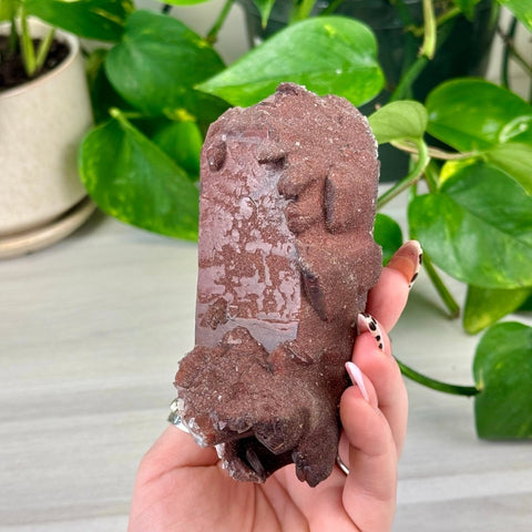 Red Hematite Quartz 252 6 - Kenna's Crystals from TikTok