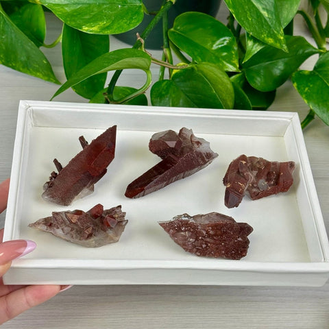 Red Hematite Quartz 33 7 - Kenna's Crystals from TikTok