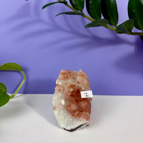 Red Snapper Chalcedony